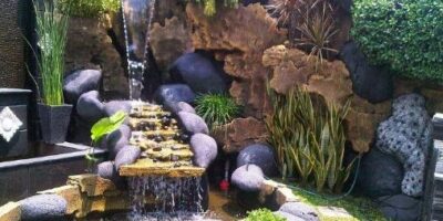 image-pd-23