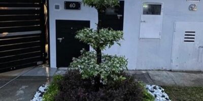 image-stp-1