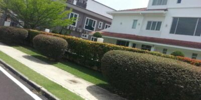 image-stp-48